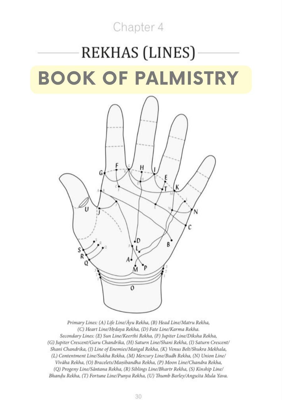 Numerology Basics Sample